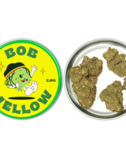 bob melow 1