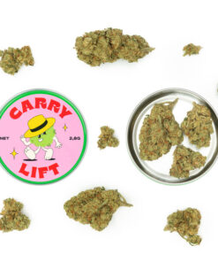 carry lift 1