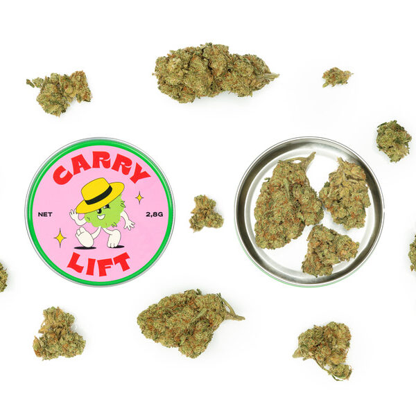 Carry Lift cofki – slika 5